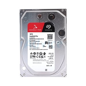 10 TB HDD SEAGATE IRONWOLF PRO (7200RPM, 256MB, SATA-3, ST10000NT001)